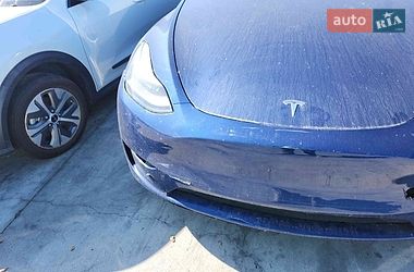 Позашляховик / Кросовер Tesla Model Y 2023 в Києві