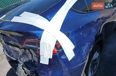 Позашляховик / Кросовер Tesla Model Y 2023 в Києві