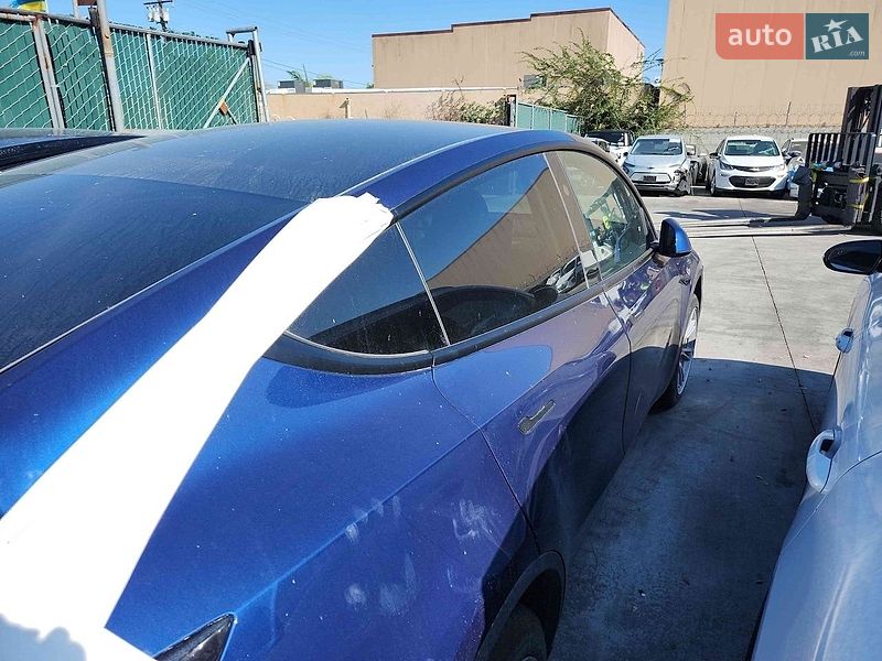 Позашляховик / Кросовер Tesla Model Y 2023 в Києві