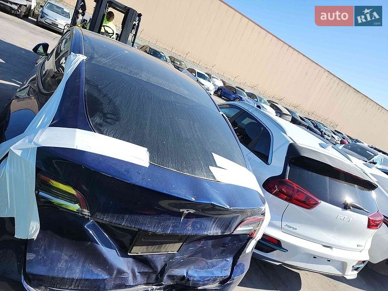 Позашляховик / Кросовер Tesla Model Y 2023 в Києві