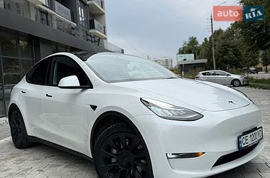 Внедорожник / Кроссовер Tesla Model Y 2023 в Черновцах фото 2 Внедорожник / Кроссовер Tesla Model Y 2023 в Черновцах
