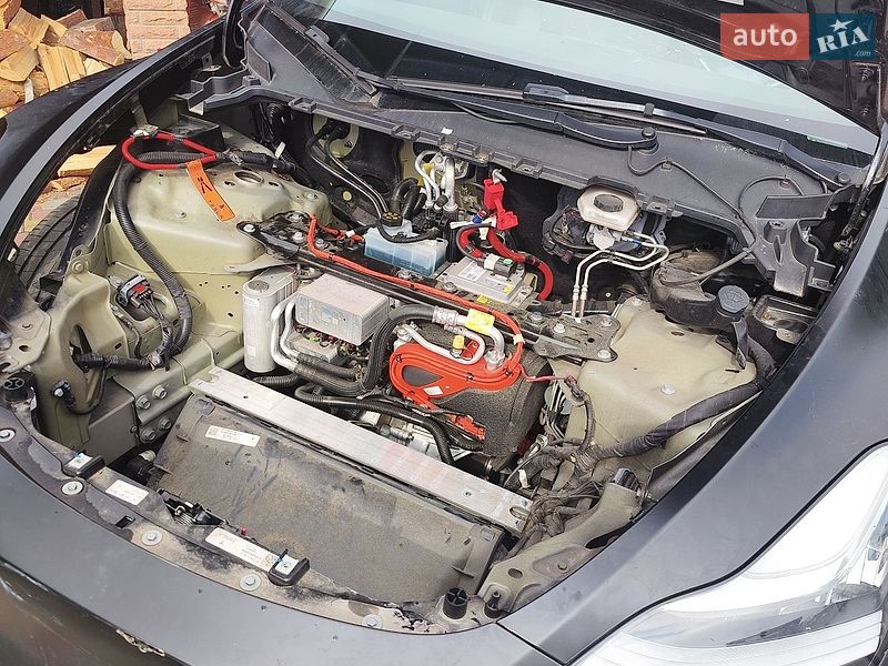 Внедорожник / Кроссовер Tesla Model Y 2022 в Киеве