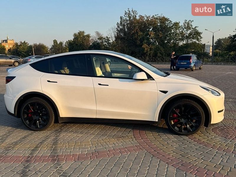 Внедорожник / Кроссовер Tesla Model Y 2020 в Харькове