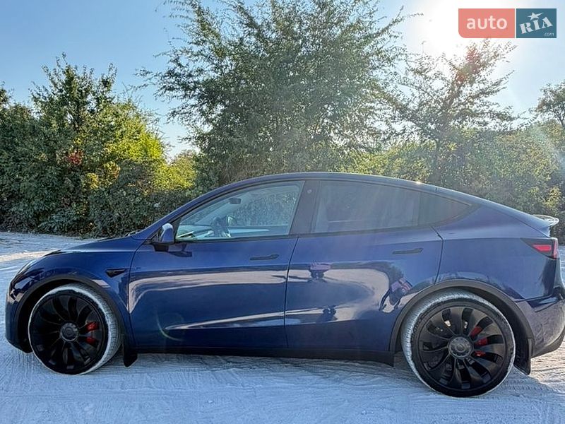 Внедорожник / Кроссовер Tesla Model Y 2023 в Запорожье