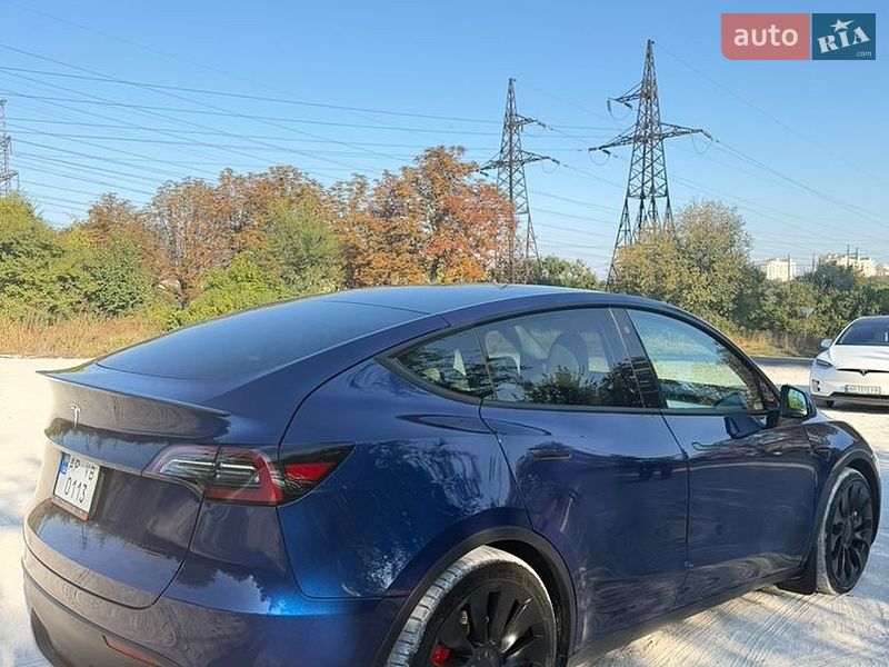 Внедорожник / Кроссовер Tesla Model Y 2023 в Запорожье