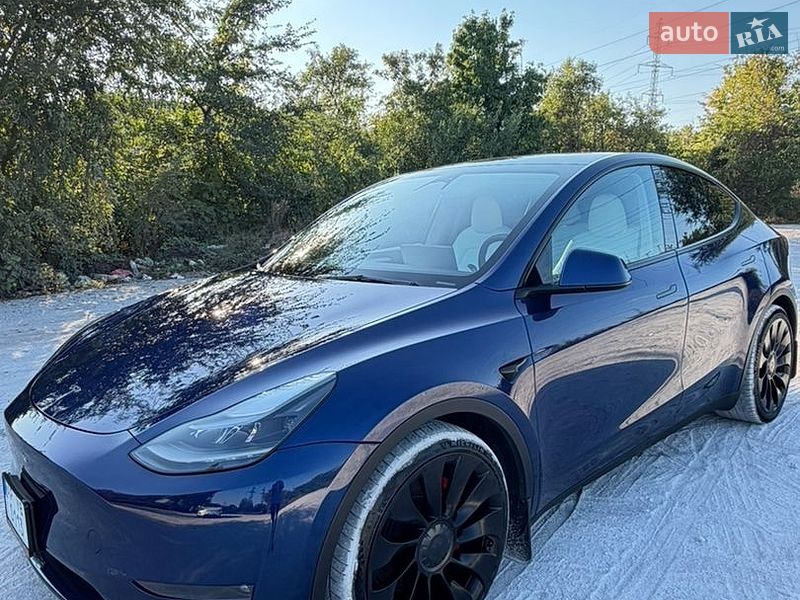 Внедорожник / Кроссовер Tesla Model Y 2023 в Запорожье