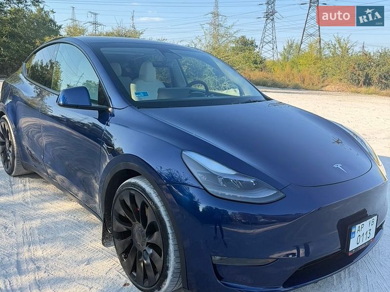 Внедорожник / Кроссовер Tesla Model Y 2023 в Запорожье
