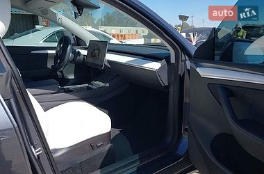 Позашляховик / Кросовер Tesla Model Y 2023 в Чернівцях
