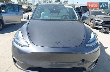 Позашляховик / Кросовер Tesla Model Y 2023 в Чернівцях