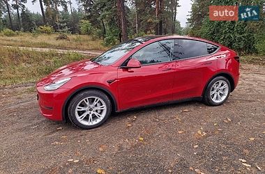 Позашляховик / Кросовер Tesla Model Y 2023 в Черкасах