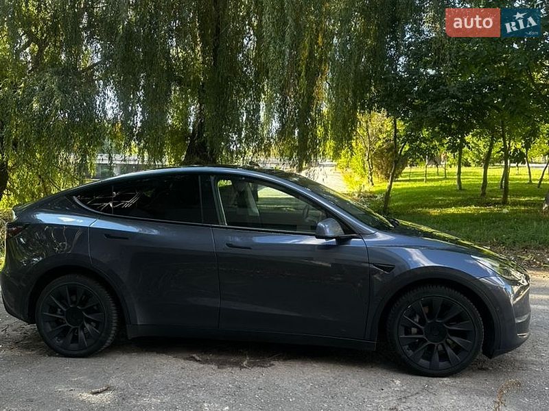 Внедорожник / Кроссовер Tesla Model Y 2022 в Хмельнике