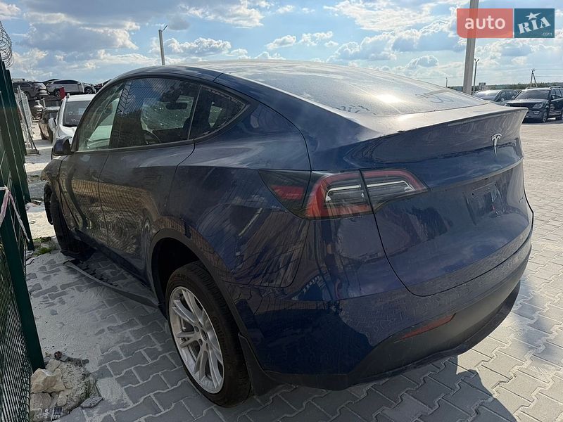 Внедорожник / Кроссовер Tesla Model Y 2023 в Львове