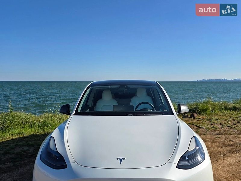 Внедорожник / Кроссовер Tesla Model Y 2020 в Одессе