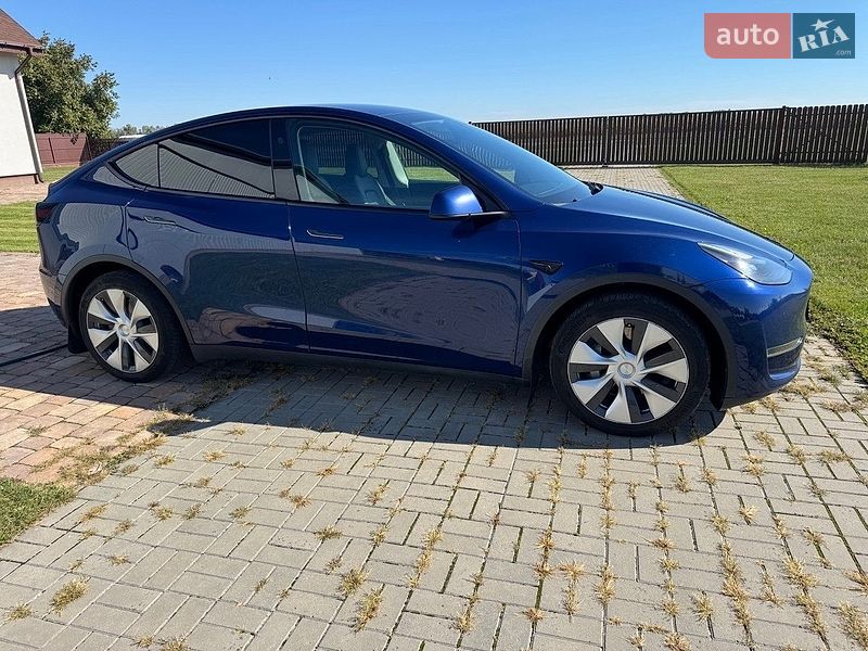 Позашляховик / Кросовер Tesla Model Y 2023 в Києві
