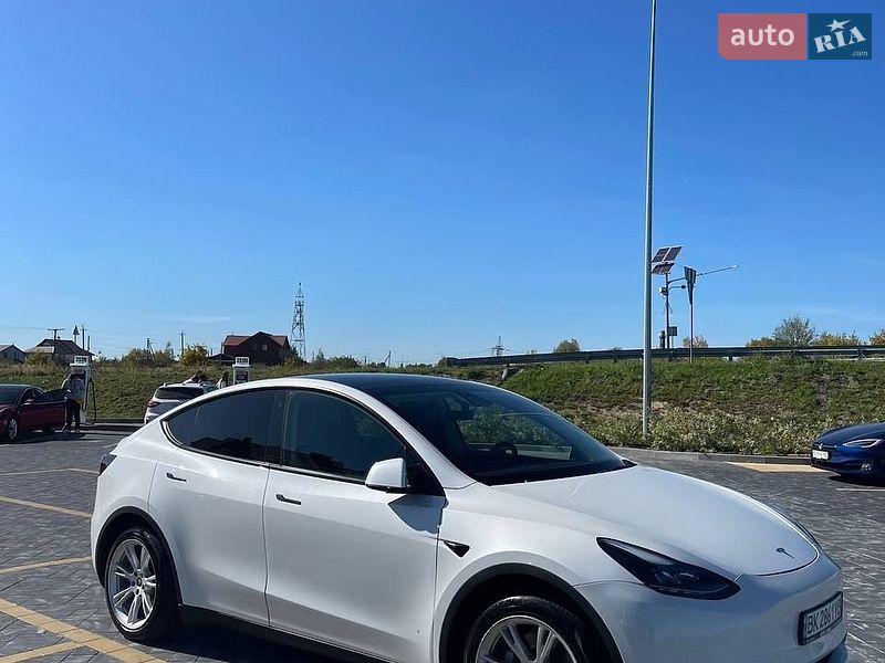 Внедорожник / Кроссовер Tesla Model Y 2023 в Звягеле