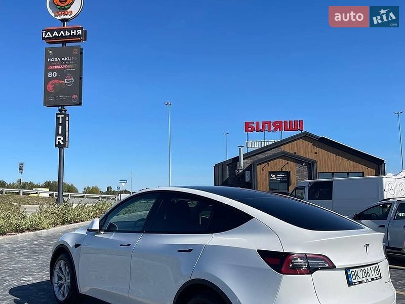 Внедорожник / Кроссовер Tesla Model Y 2023 в Звягеле