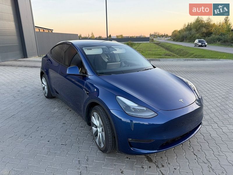 Позашляховик / Кросовер Tesla Model Y 2023 в Звягелі