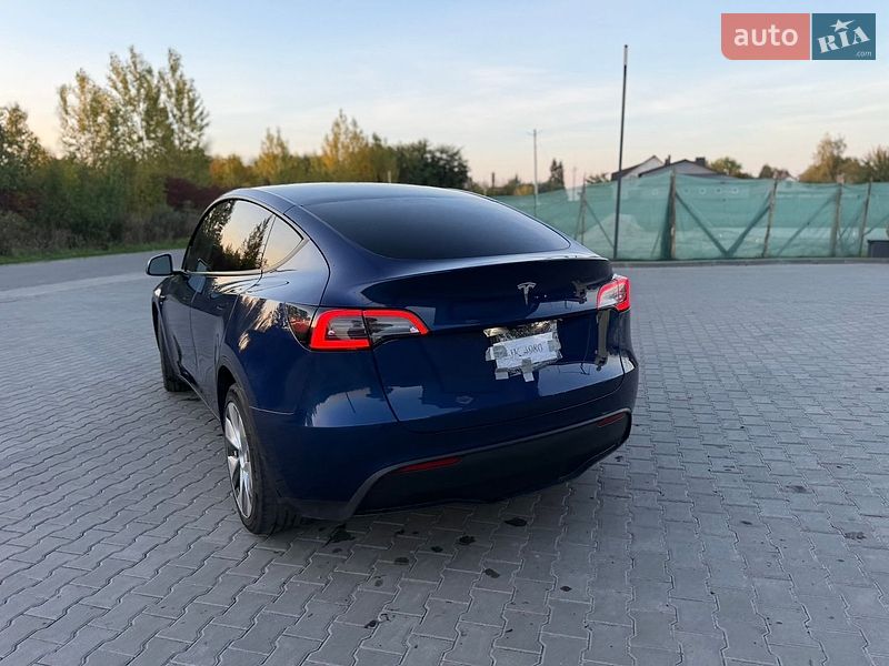 Позашляховик / Кросовер Tesla Model Y 2023 в Звягелі