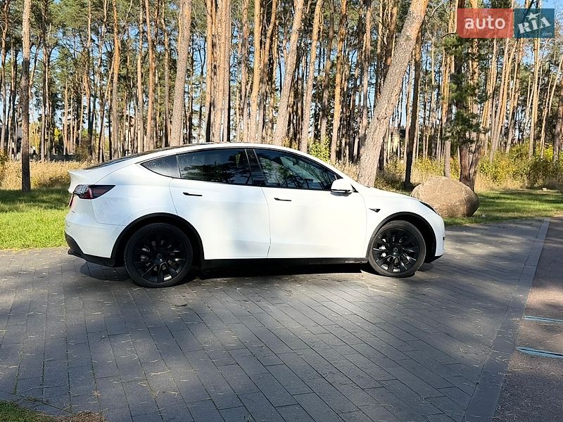 Позашляховик / Кросовер Tesla Model Y 2021 в Житомирі