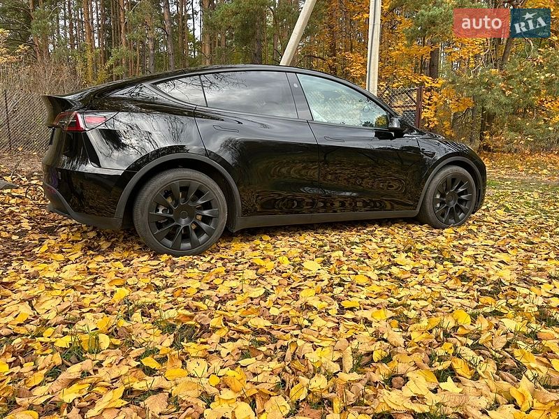Внедорожник / Кроссовер Tesla Model Y 2024 в Киеве