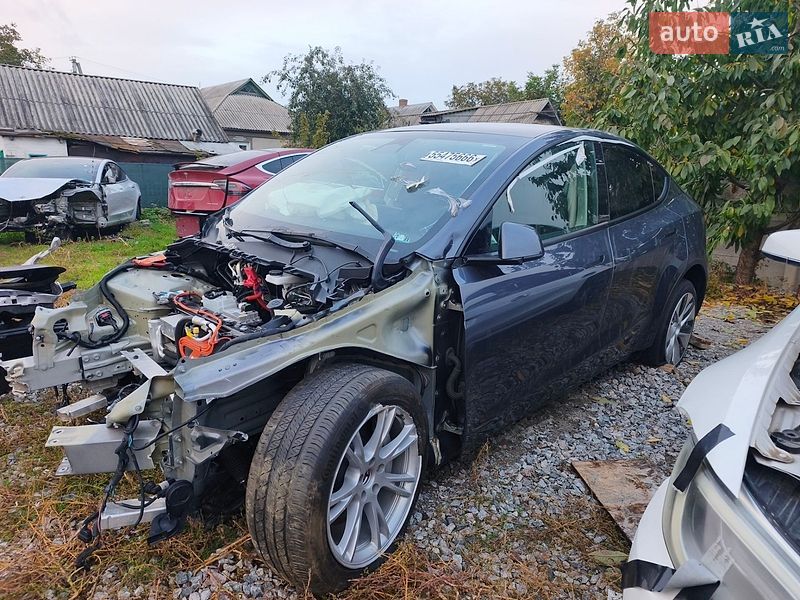Позашляховик / Кросовер Tesla Model Y 2023 в Сквирі