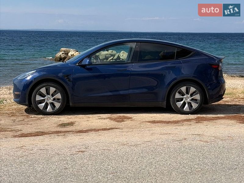 Позашляховик / Кросовер Tesla Model Y 2021 в Тернівці