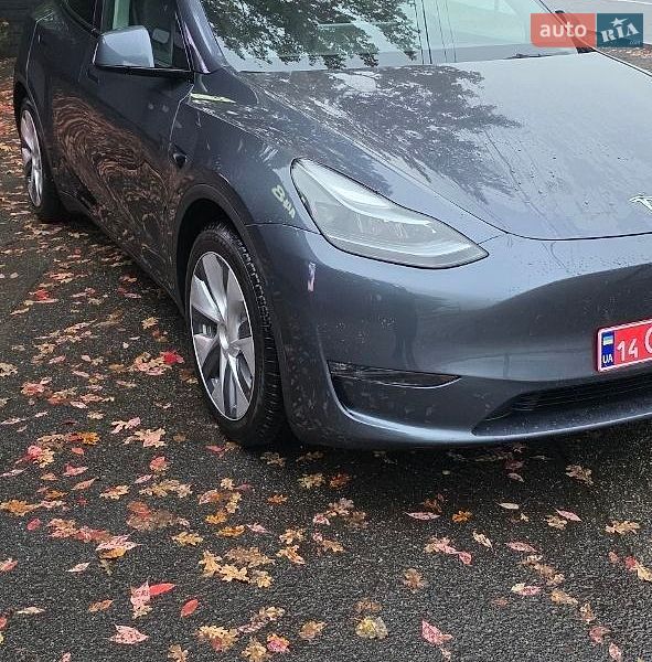 Позашляховик / Кросовер Tesla Model Y 2023 в Києві