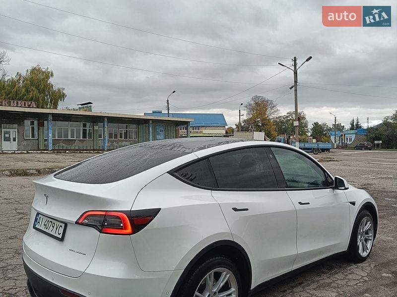 Внедорожник / Кроссовер Tesla Model Y 2022 в Сквире
