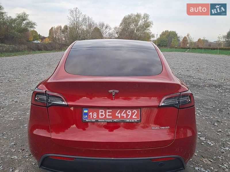 Позашляховик / Кросовер Tesla Model Y 2023 в Бучі