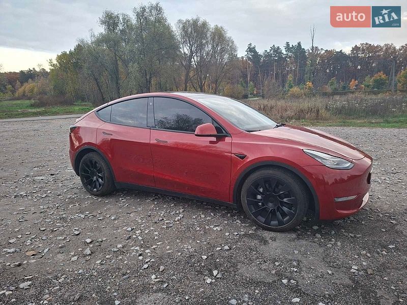 Позашляховик / Кросовер Tesla Model Y 2023 в Бучі