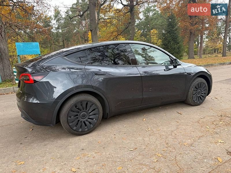 Позашляховик / Кросовер Tesla Model Y 2024 в Києві