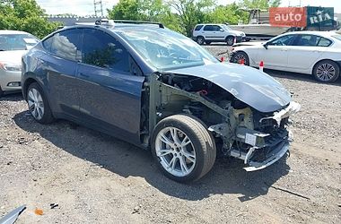 Позашляховик / Кросовер Tesla Model Y 2023 в Києві