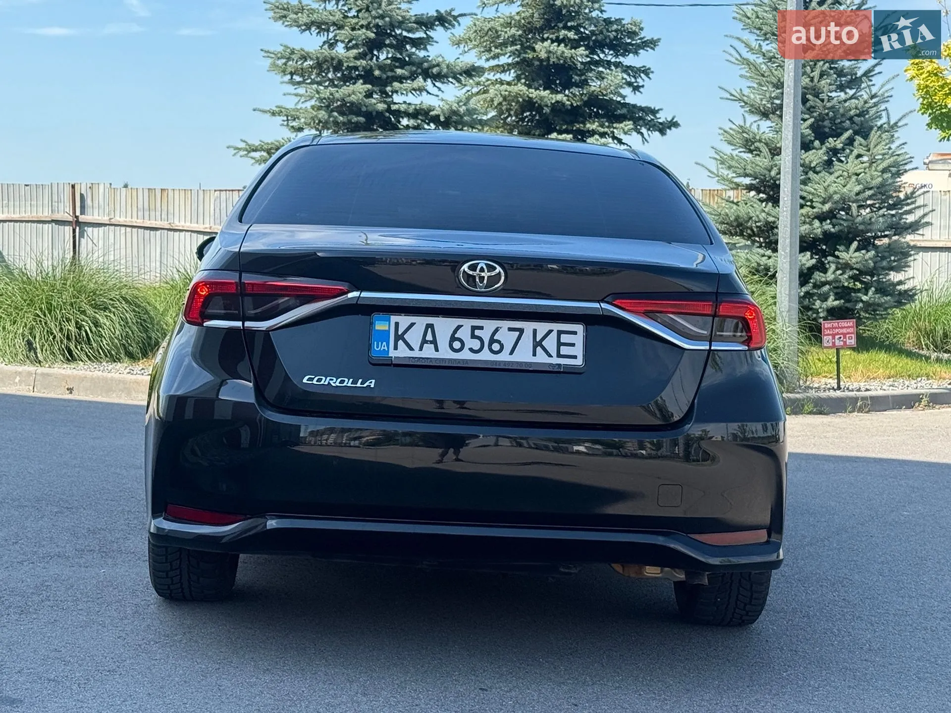 2019 Toyota Corolla - мініатюра 6
