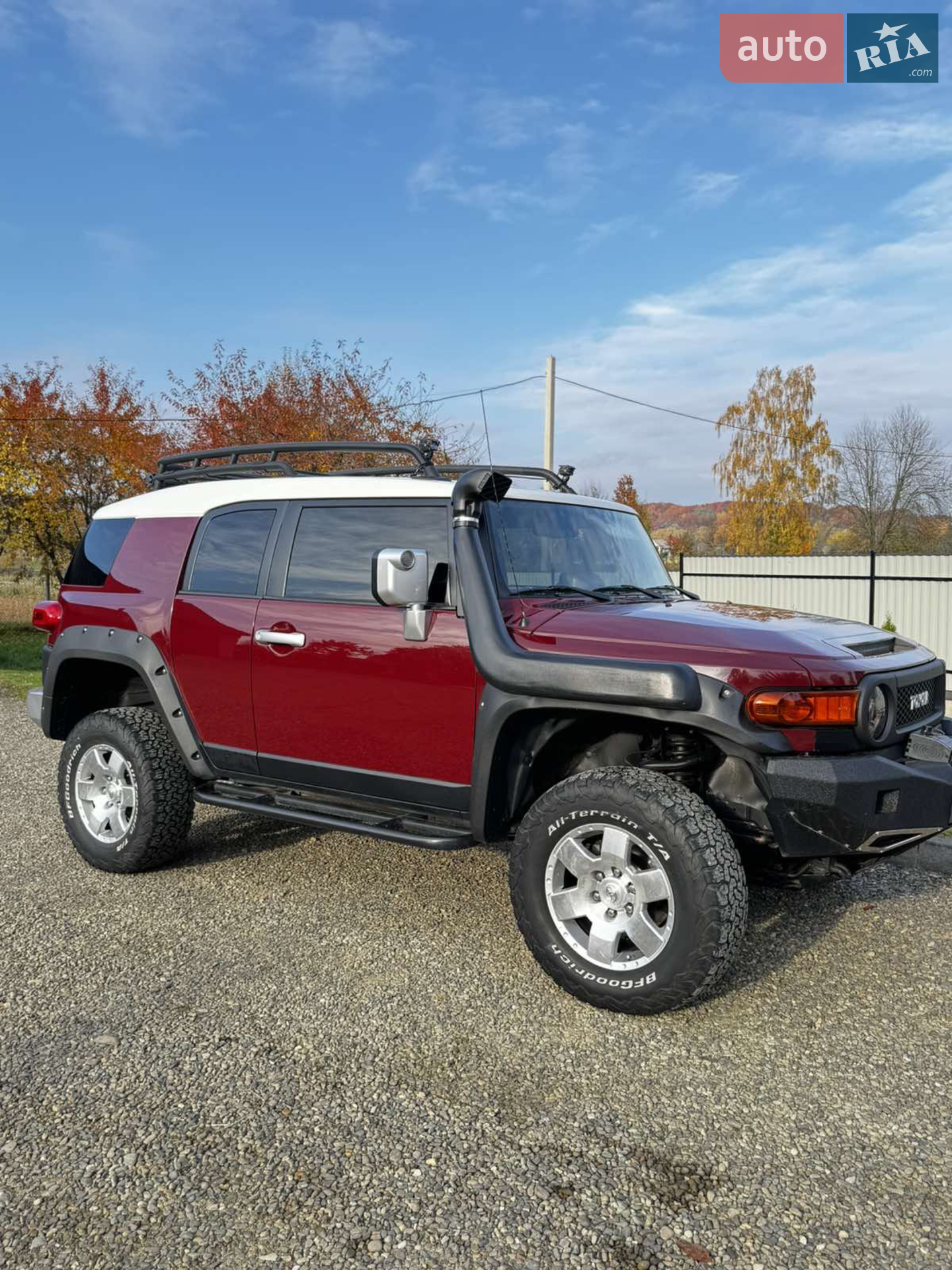 2010 Toyota FJ Cruiser - фото 1