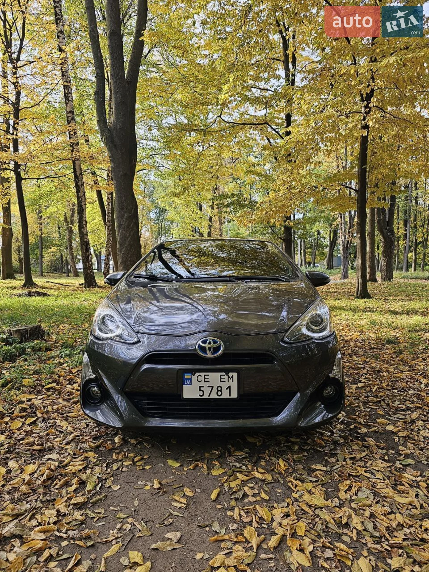 2016 Toyota Prius c - фото 1