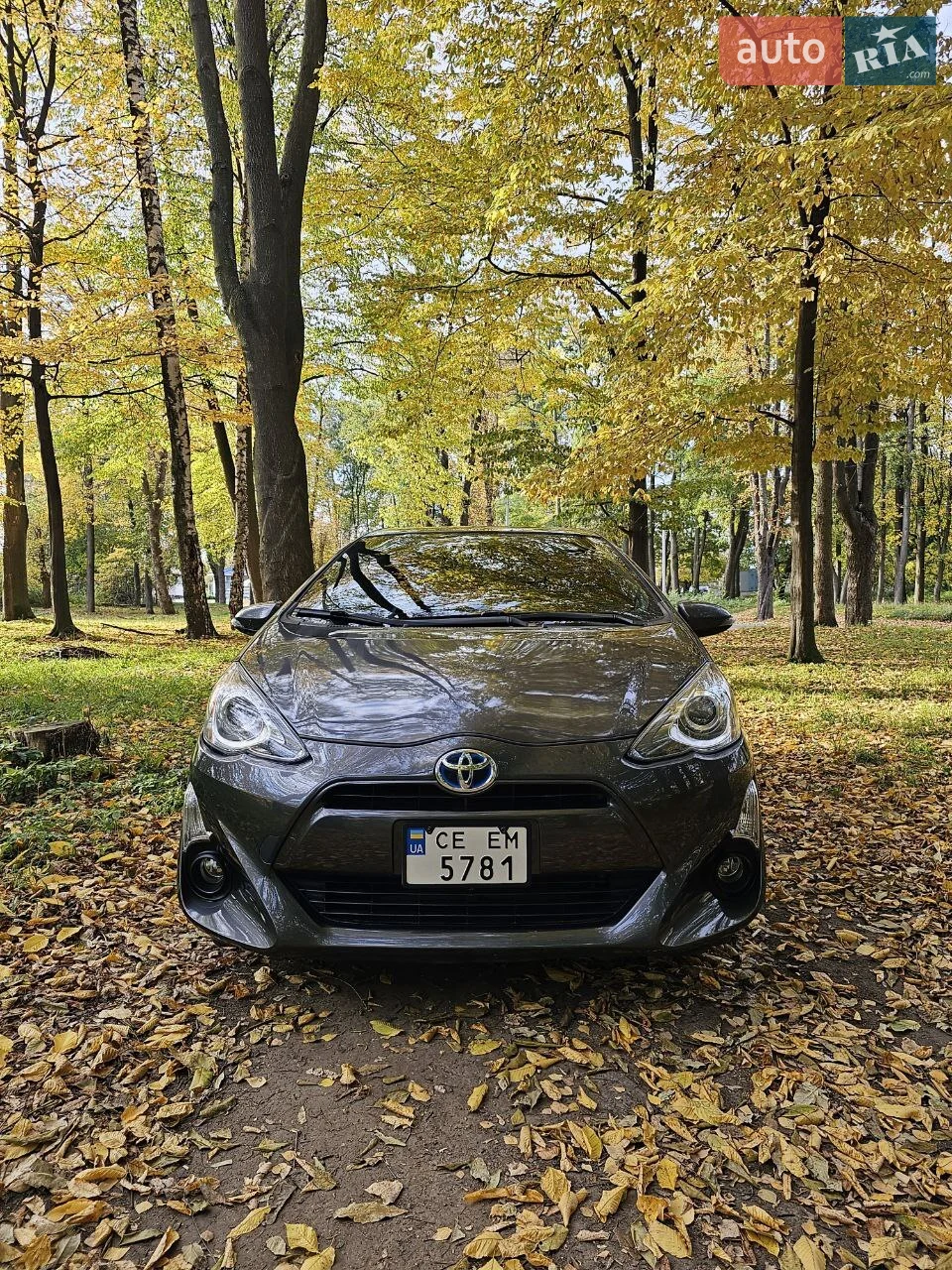 Гарна комплектація. ГІбрид.