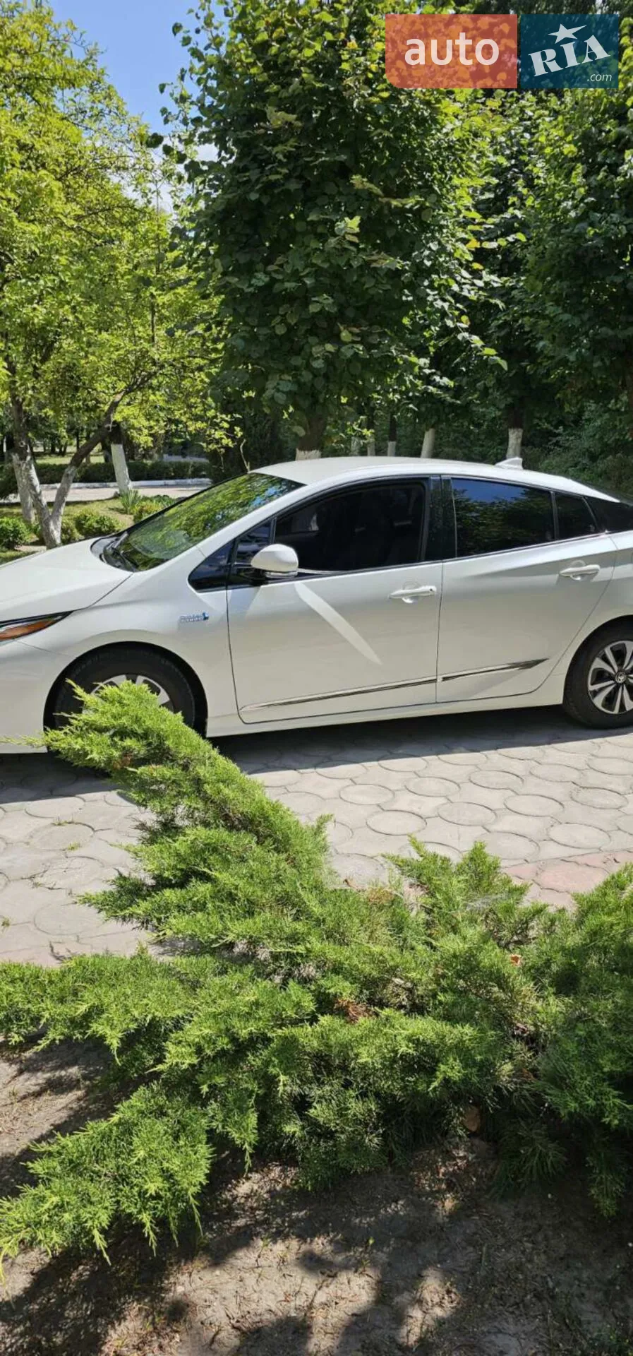 2019 Toyota Prius - мініатюра 22