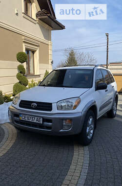 Внедорожник / Кроссовер Toyota RAV4 2002 в Черновцах