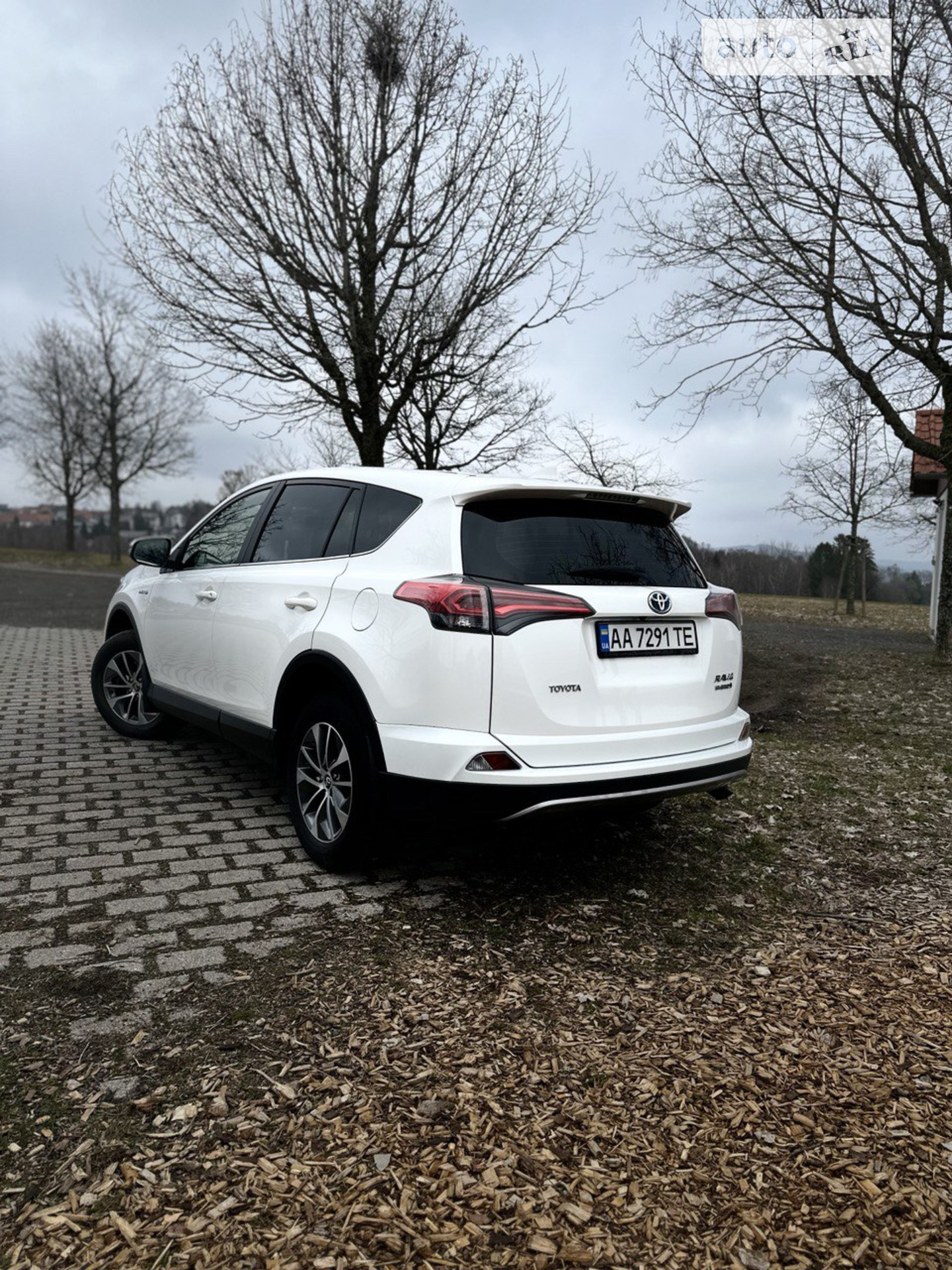 2017 Toyota RAV 4 - мініатюра 12