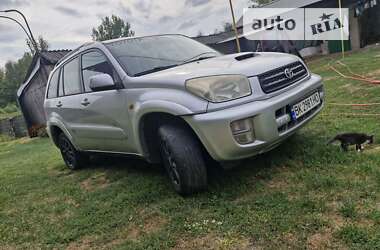 Внедорожник / Кроссовер Toyota RAV4 2003 в Козине