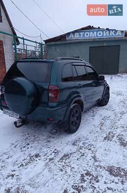 Внедорожник / Кроссовер Toyota RAV4 2002 в Иршанске