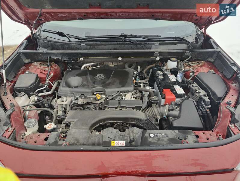 Внедорожник / Кроссовер Toyota RAV4 2019 в Тернополе