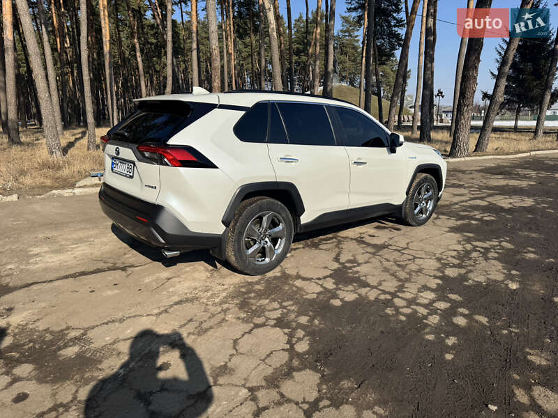 Внедорожник / Кроссовер Toyota RAV4 2019 в Сумах