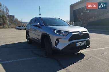 Внедорожник / Кроссовер Toyota RAV4 2019 в 