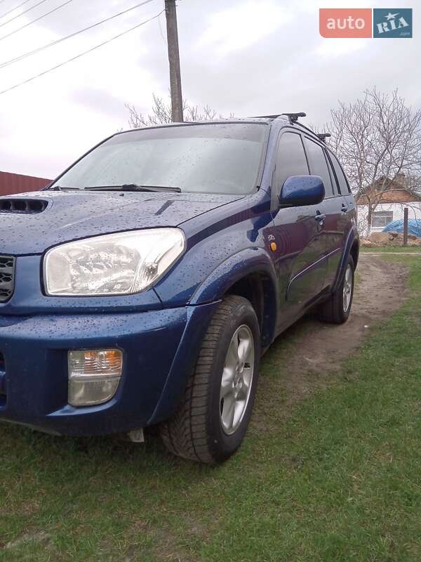 Внедорожник / Кроссовер Toyota RAV4 2002 в Сарнах