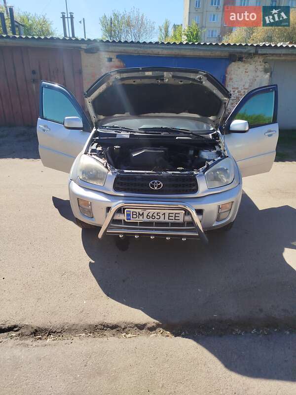 Внедорожник / Кроссовер Toyota RAV4 2002 в 