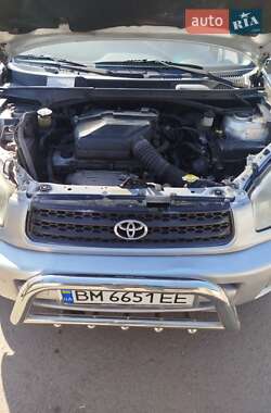 Внедорожник / Кроссовер Toyota RAV4 2002 в 