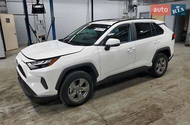 Toyota RAV4 2024