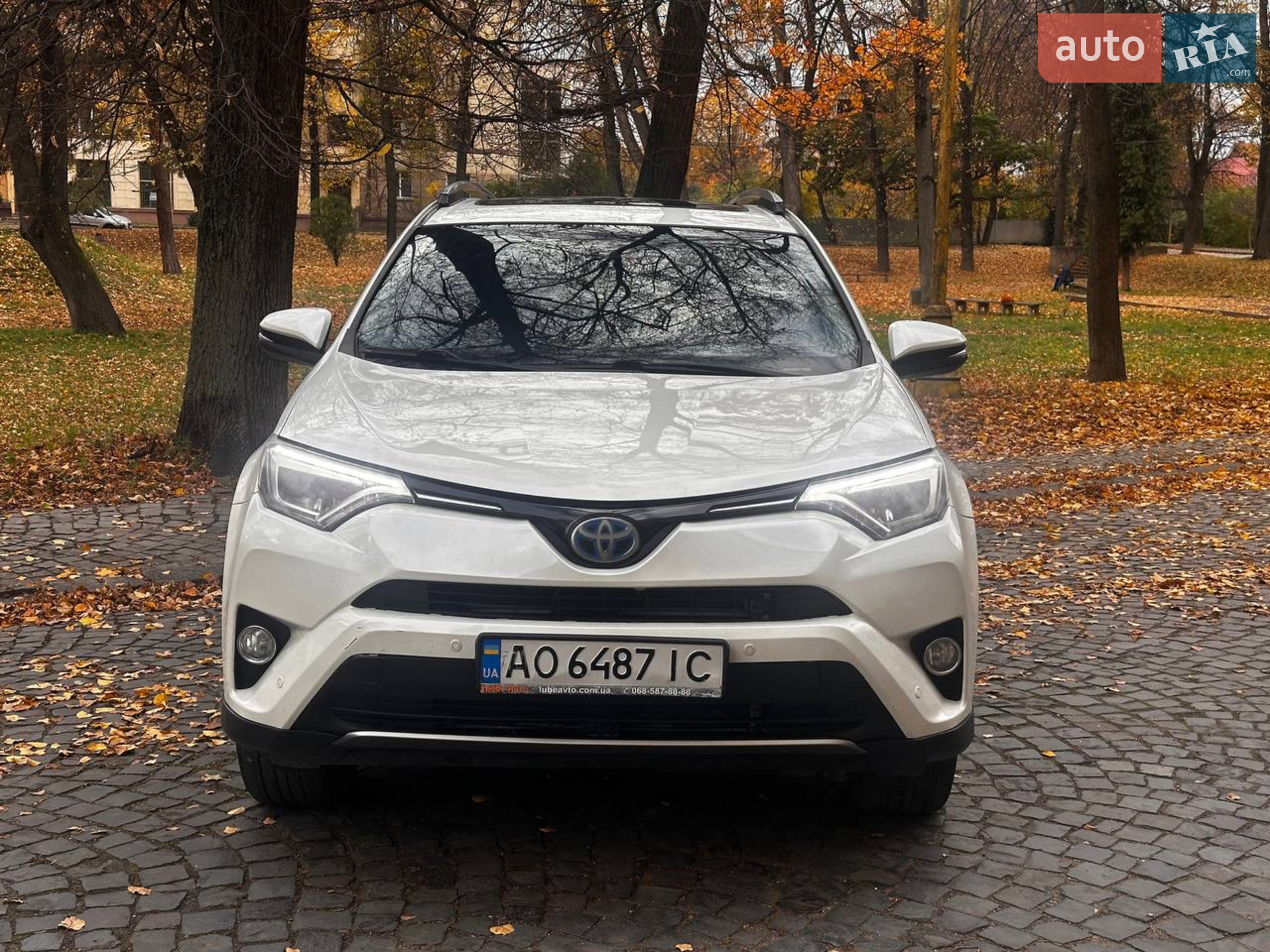 2018 Toyota RAV 4 - мініатюра 2