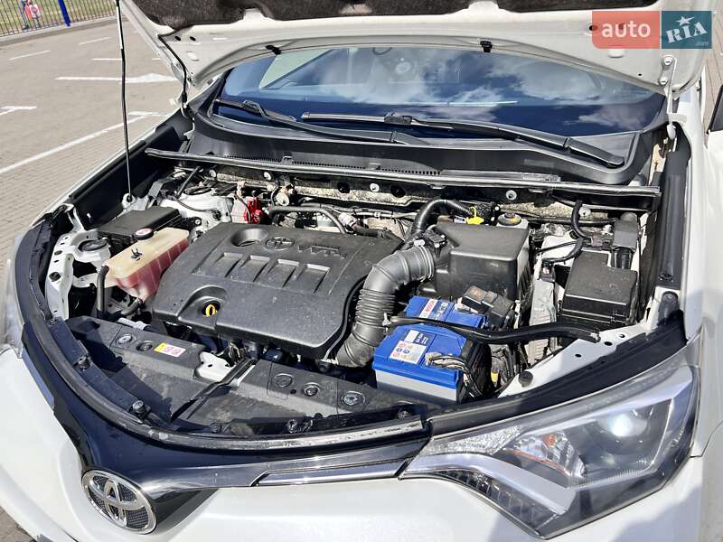 Внедорожник / Кроссовер Toyota RAV4 2018 в Нововолынске фото 51 Внедорожник / Кроссовер Toyota RAV4 2018 в Нововолынске